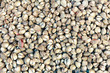 Fresh raw clams a market at Thailand, Asia