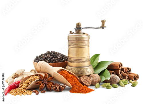 Photo: spices and herbs isolated on white spices and herbs isolated on white