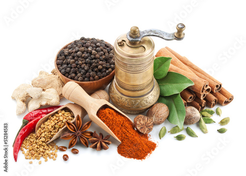 Photo: composition with different spices and herbs isolated composition with different spices and herbs isolated