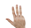 Hand isolated on white