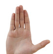 Hand isolated on white