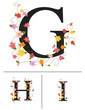Decorative super caps letters G, H, I