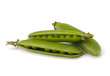 Fresh green pea pod