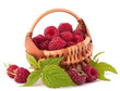 Ripe raspberries in basket