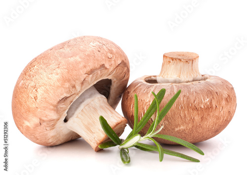 Photo: Brown champignon mushroom and rosemary leaves Brown champignon mushroom and rosemary leaves
