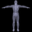 X-ray of man