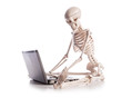 Skeleton working on laptop