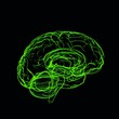 Illustration: Xray green brain Xray green brain