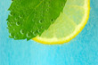Lemon slice, mint leaf and soda