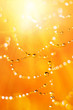 Spider web with raindrops