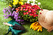 Foto: Concept jardinage Concept jardinage