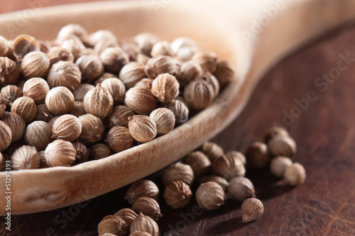 Photo: Dry coriander seeds on a spoon Dry coriander seeds on a spoon