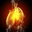Schematic illustration of human lungs