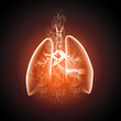 Schematic illustration of human lungs