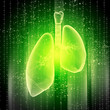 Schematic illustration of human lungs