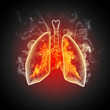 Schematic illustration of human lungs