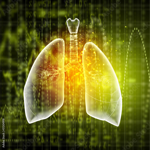 Illustration: Schematic illustration of human lungs Schematic illustration of human lungs