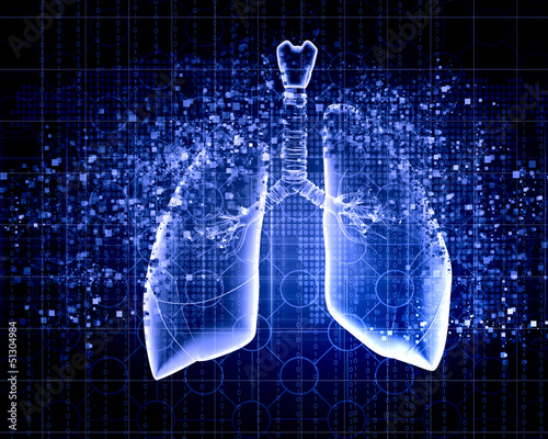 Illustration: Schematic illustration of human lungs Schematic illustration of human lungs