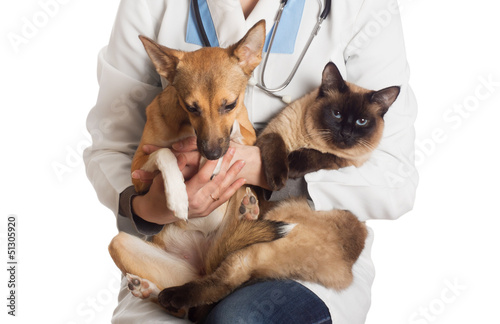 Photo: veterinarian holding a cat and a puppy veterinarian holding a cat and a puppy