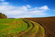 landwirtschaft