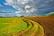landwirtschaft