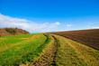 landwirtschaft
