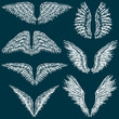 angel wings