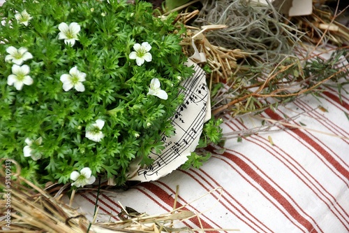 Photo: Garten Garten