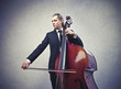 Photo: musician playing contrabass musician playing contrabass