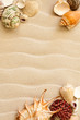 sea shells with sand as background