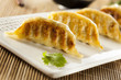 Homemade Asian Vegeterian Potstickers