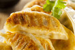 Homemade Asian Vegeterian Potstickers