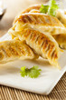 Homemade Asian Vegeterian Potstickers