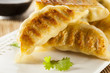 Homemade Asian Vegeterian Potstickers