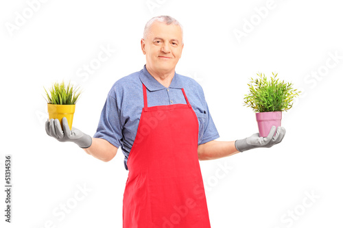 Photo: A mature male gardener with apron holding two potted plants A mature male gardener with apron holding two potted plants