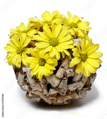 Photo: Floral spring composition isolated on white Floral spring composition isolated on white