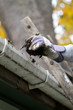 person cleaning the gutter.