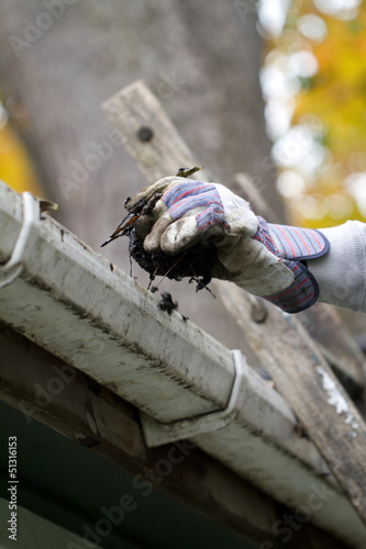 Photo: person cleaning the gutter. person cleaning the gutter.