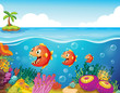 A school of fish near the coral reefs