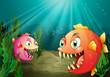 A small and a big fish