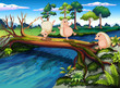 Hedgehogs playing at the river