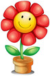 A flower inside a pot