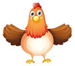 A fat mother hen