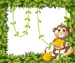 A happy monkey holding bananas