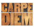 Carpe Diem in wood type