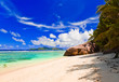 Tropical beach