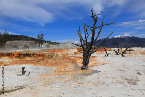 Photo: Yellowstone national Park 1 Yellowstone national Park 1