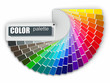 Color palette guide on white background