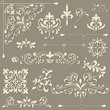 vector  vintage floral  design elements