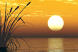Reeds